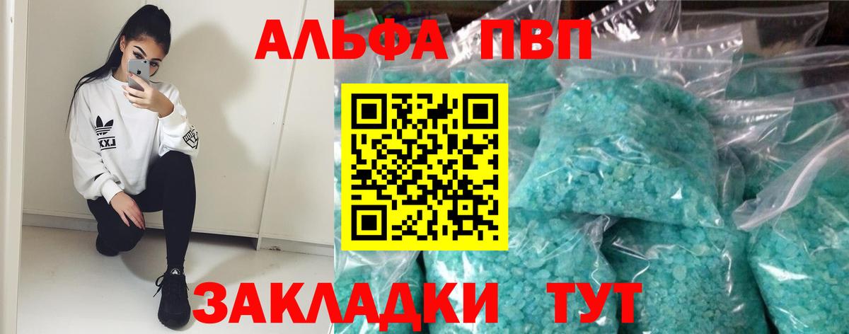 A PVP СК КРИС Сыктывкар