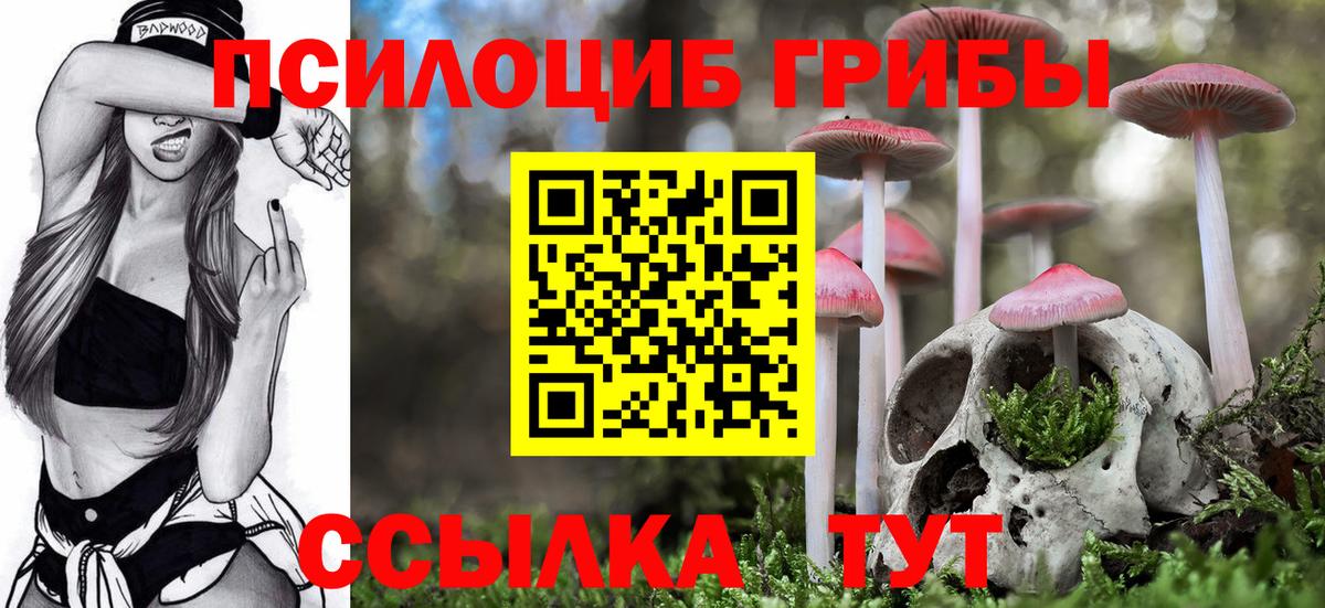 Псилоцибиновые грибы Magic Shrooms  Вход с VPN  Сыктывкар 