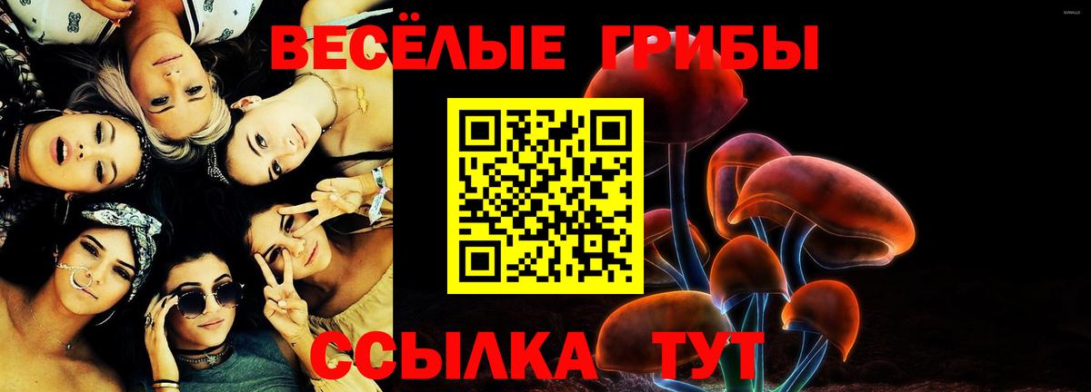 Псилоцибиновые грибы мухоморы Сыктывкар